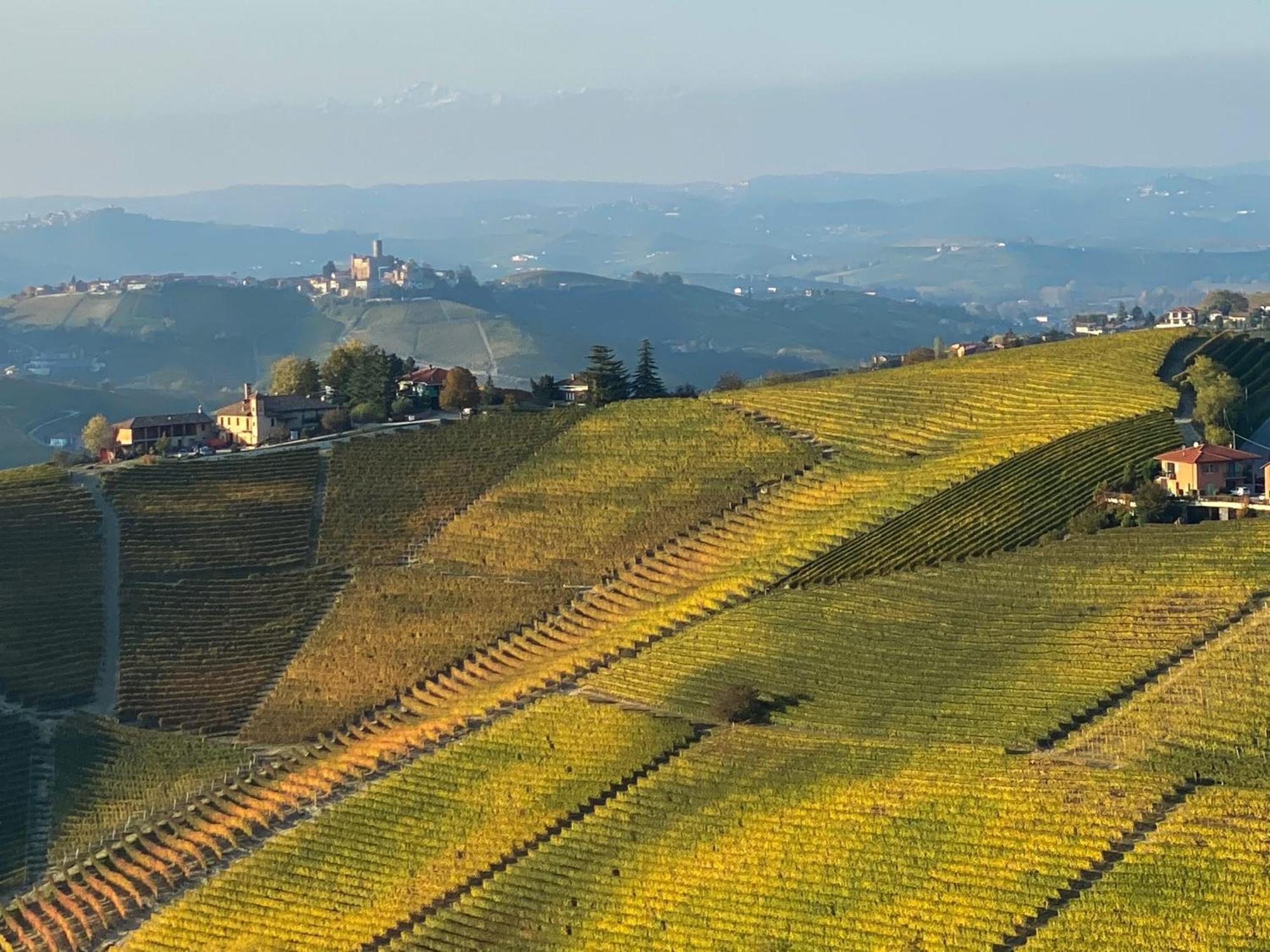 Just Langhe Casa Barolo Villa Novello