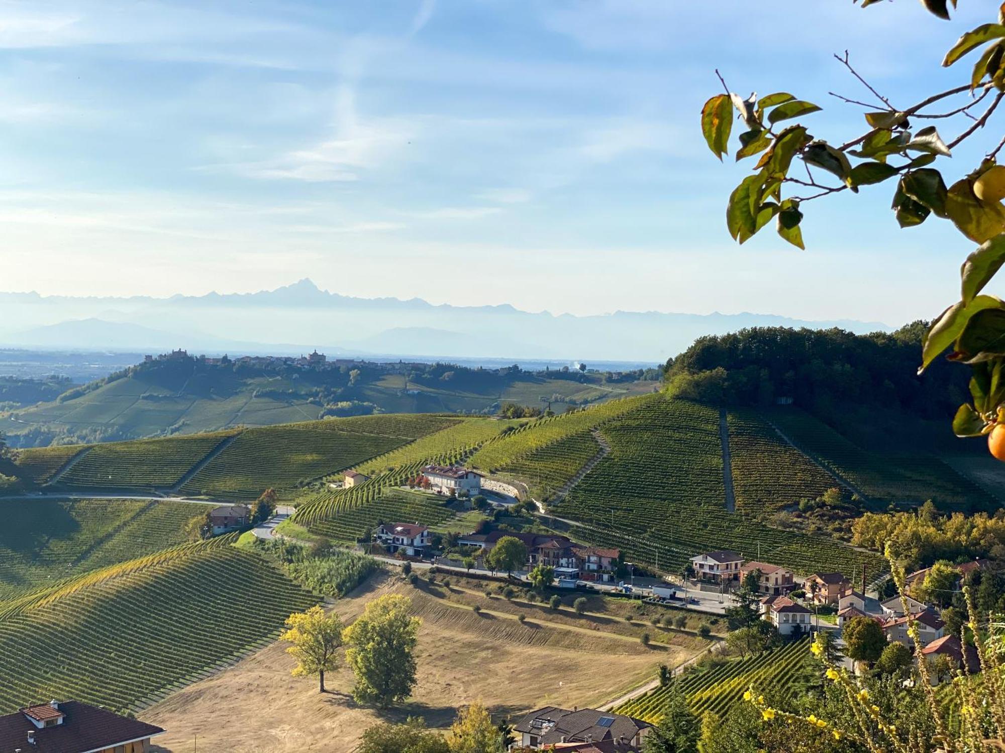 Just Langhe Casa Barolo *