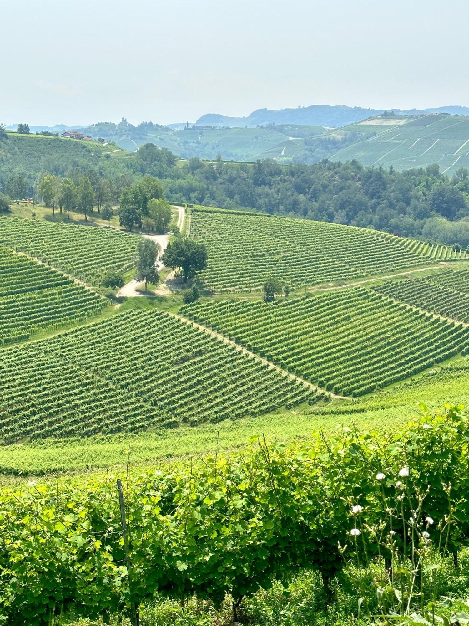 Villa Just Langhe Casa Barolo