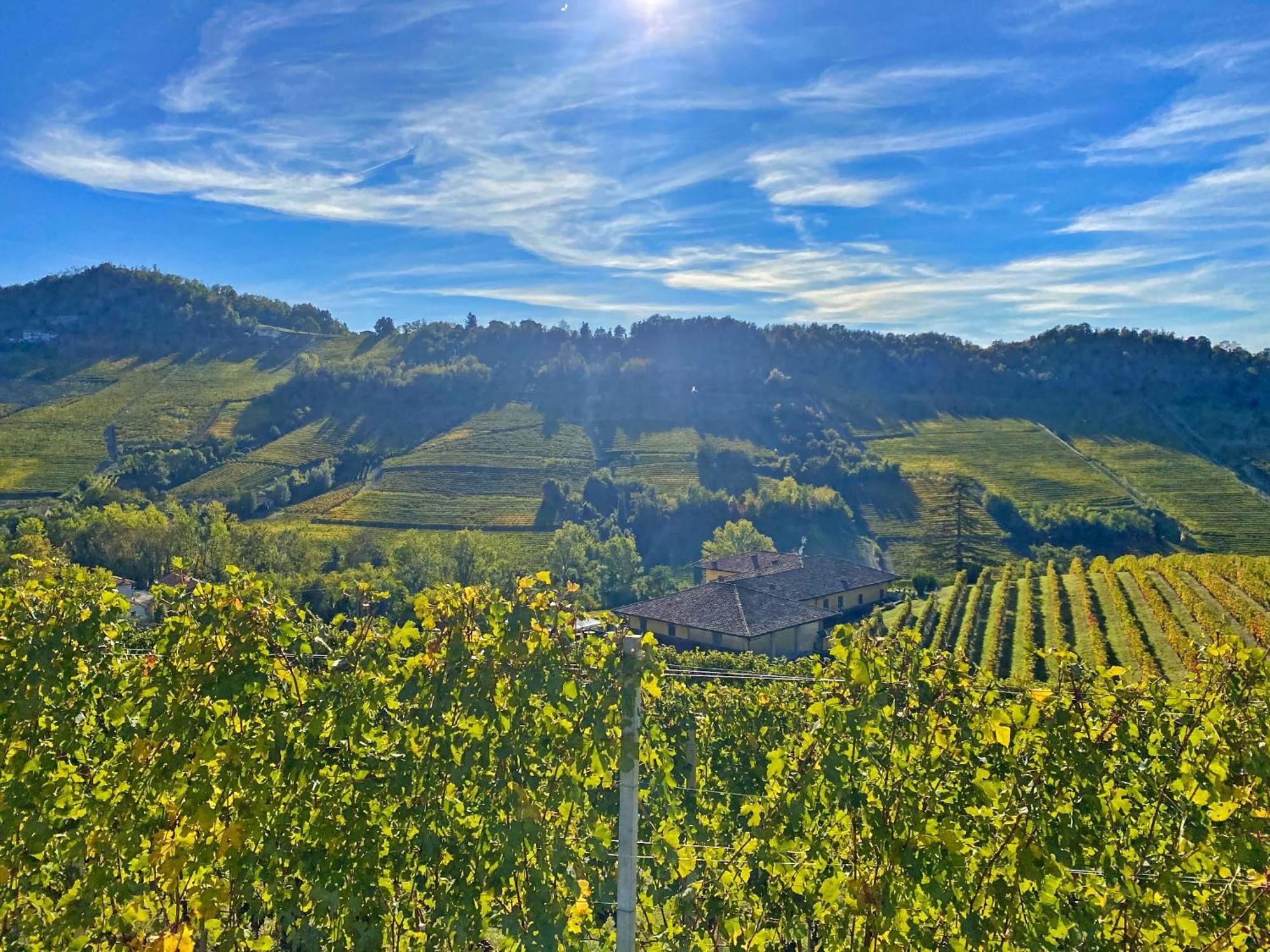 Just Langhe Casa Barolo Villa